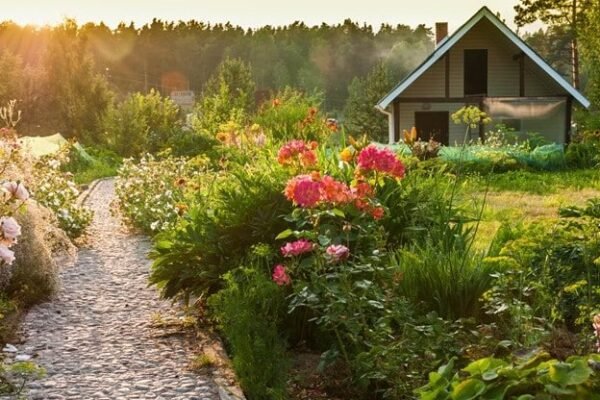 8 Distinctive Methods to Improve Your Backyard