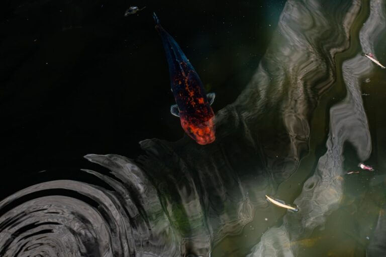 Why You Should Rethink Your Tilapia Choices: Health Risks and Environmental Concerns