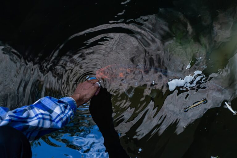 Think Twice Before You Bite: The Hidden Dangers of Tilapia Consumption