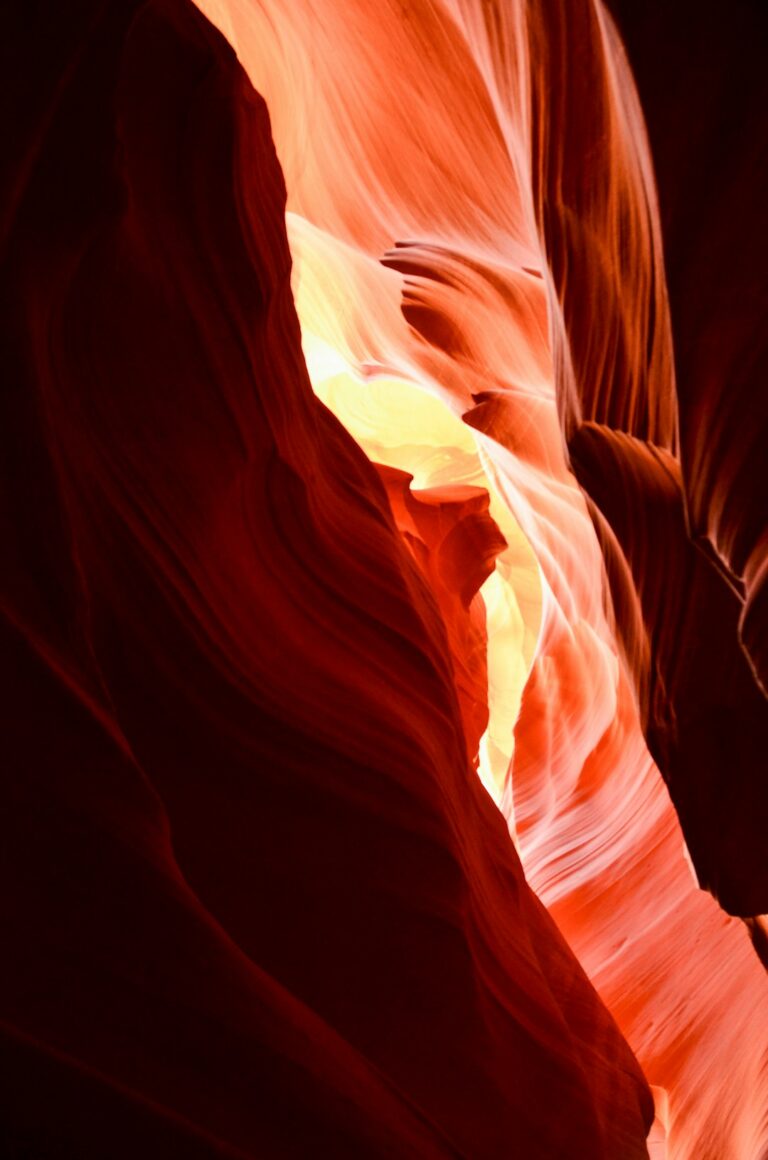 Uncovering the Allure of Arizona: Why This State Stands Out