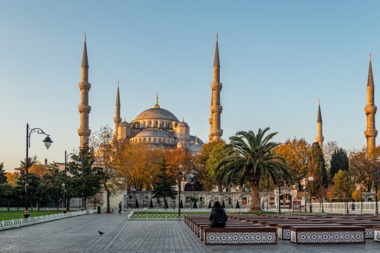 Unlocking the Secrets: Why Turkey is the Ultimate Hub for Affordable DHI Hair Transplants