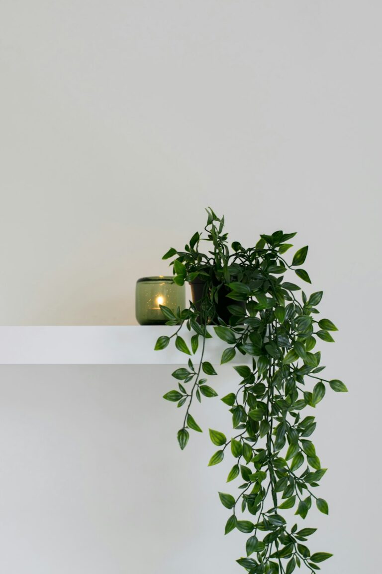 Top Eco-Home Features: Building a Sustainable Future for Your Family