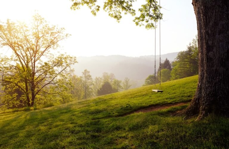 Capture the Magic: Preserving Life’s Most Cherished Memories