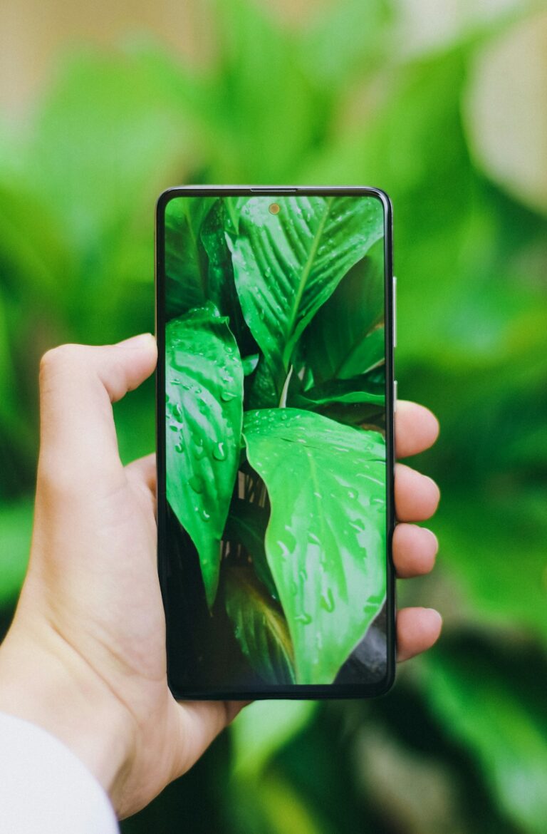 Revolutionize Your Daily Routine: Embrace a Stress-Free Green Lifestyle